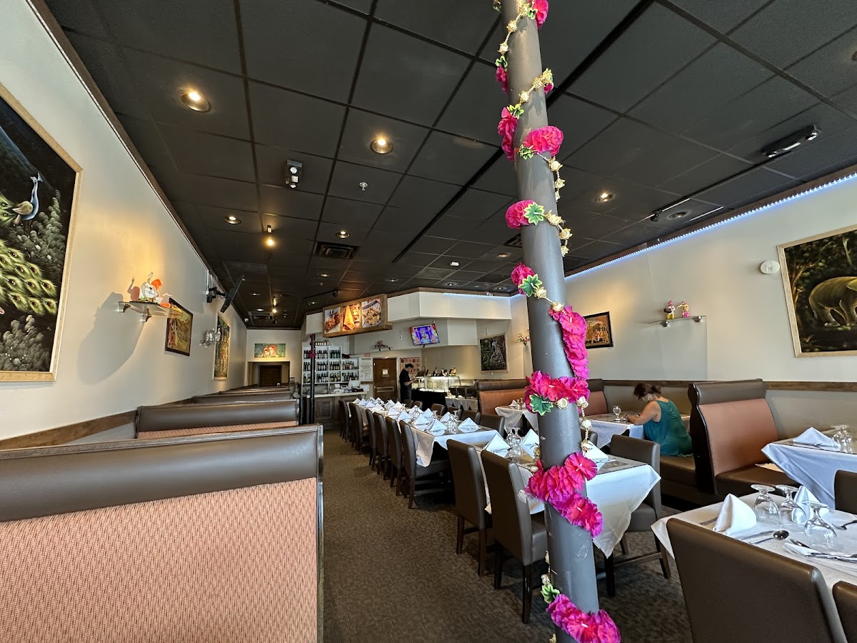 Dosa Grill Albany Ny